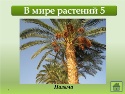 Интерактивная игра. Знатоки природы, слайд 6