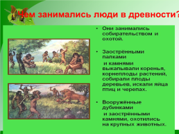 Какова роль растений и животных в жизни человека, слайд 7