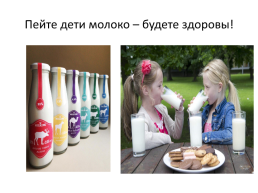 Молоко и молочные продукты, слайд 16