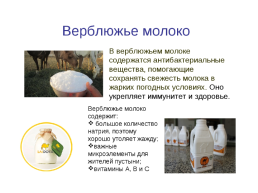 Молоко и молочные продукты, слайд 9