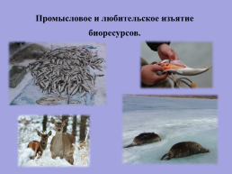 Экологические проблемы Иркутской области и озера Байкал, слайд 10