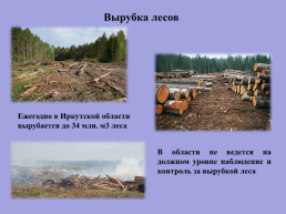 Экологические проблемы Иркутской области и озера Байкал, слайд 11