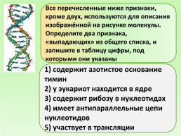 Строение клетки, слайд 7