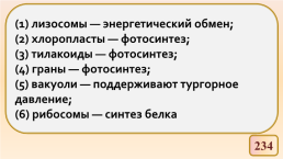 Обмен веществ и превращения энергии, слайд 17