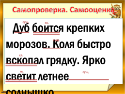 Различение предложений и словосочетаний, слайд 27