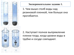 Давление в жидкости и газе. Расчет давления жидкости на дно и стенки сосуда. Сообщающие сосуды, слайд 4