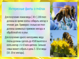 Мед. Пчелиный, слайд 14