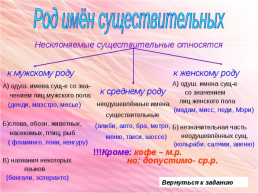 Орфограммы в теме «Имя существительное», слайд 30