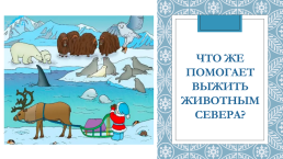 Презентация на тему: «Север – царство льда и снега», слайд 11