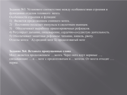 Контрольная работа по теме «Нервная система», слайд 9