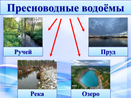 Водоёмы Александровского района, слайд 3