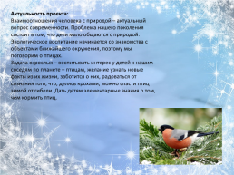 Проект «Снегирь - птица зимняя», слайд 3
