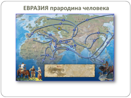 Евразия прародина человека, слайд 2