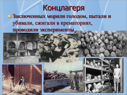 Что мы знаем о Великой Отечественной войне, слайд 19