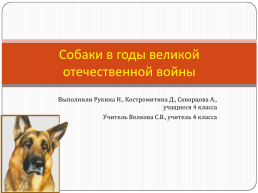 Собаки в годы Великой Отечественной войны, слайд 1