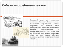 Собаки в годы Великой Отечественной войны, слайд 5