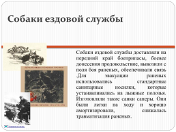 Собаки в годы Великой Отечественной войны, слайд 6