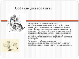 Собаки в годы Великой Отечественной войны, слайд 7