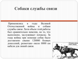 Собаки в годы Великой Отечественной войны, слайд 9