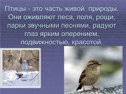 Зимующие птицы нашего села, слайд 2