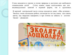 Лэпбук «Эколята- дошколята» как средство экологического воспитания детей младшего дошкольного возраста, слайд 4