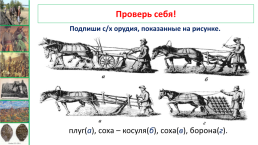 Территория, население и хозяйство россии в начале XVI в., слайд 15