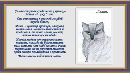 Окрас и характер кошки, слайд 6