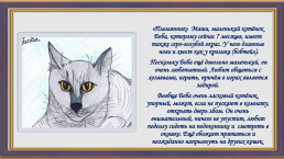 Окрас и характер кошки, слайд 7