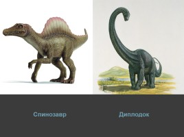 Проект «Мир динозавров», слайд 29