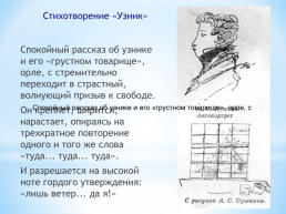 Лицейские годы А.С.Пушкина. (1811 – 1817), слайд 14
