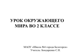 Урок окружающего мира во 2 классе, слайд 1