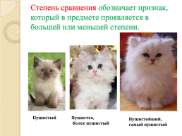 Урок русского языка в 6 классе степени сравнения имен прилагательных, слайд 2