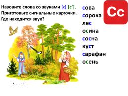 Буква С, слайд 11