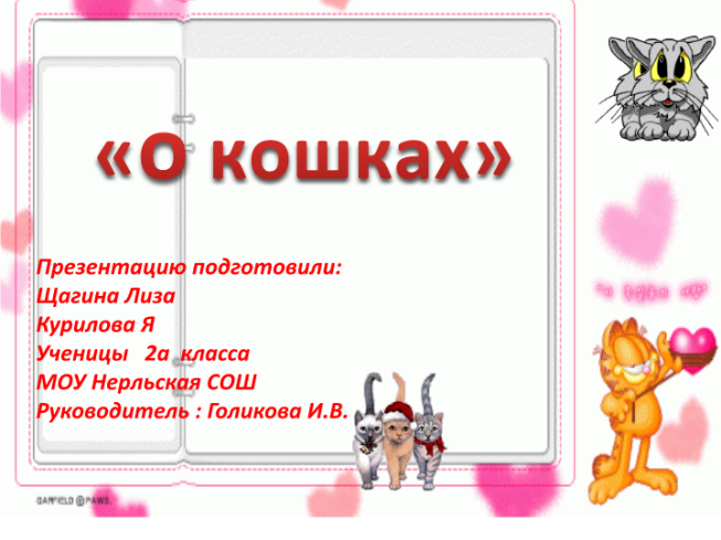 О кошках