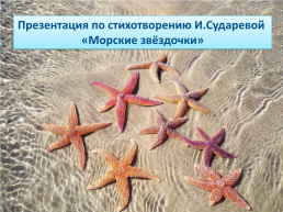 Морские новогодние истории, слайд 2