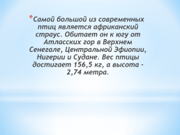 Викторина по теме: «Рассказы - загадки про зверей и птиц», слайд 5