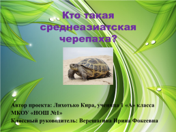Кто такая среднеазиатская черепаха?, слайд 1