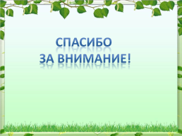 Зеленые насаждения В окрестностях нашей школы, слайд 9