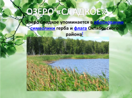 Природный потенциал Октябрьского района, слайд 12