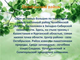 Природный потенциал Октябрьского района, слайд 2