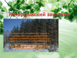 Природный потенциал Октябрьского района, слайд 4