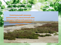 Природный потенциал Октябрьского района, слайд 7