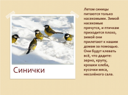Зимующие птицы 2, слайд 6