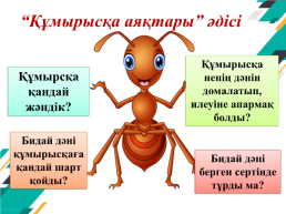 0105000 – Бастауыш білім беру мамандығы 0105013 – бастауыш білім беру мұғалімі біліктілігі, слайд 11