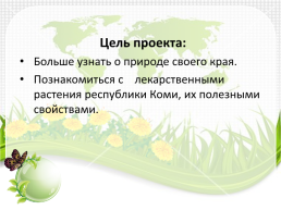 Лекарственные растения республики Коми, слайд 2