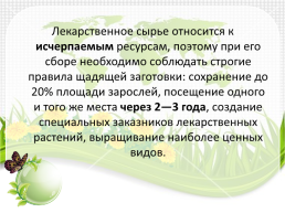 Лекарственные растения республики Коми, слайд 9
