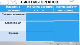 Тема урока Организм человека, слайд 4