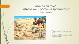 Доклад по теме «Животные и растения тропических пустынь»