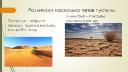 Доклад по теме «Животные и растения тропических пустынь», слайд 4