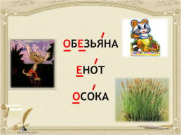 Урок русского языка в 5 классе, слайд 6